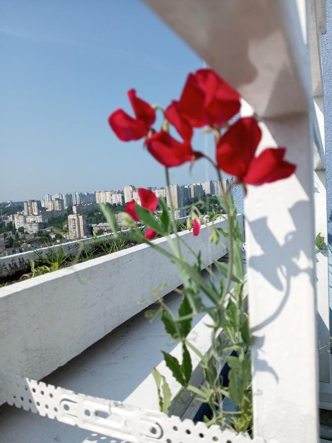 Небольшой Пентхаус С Прекрасным Видом На Город Kiev Luaran gambar