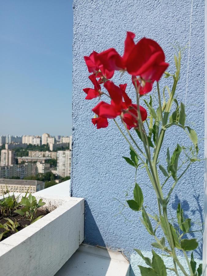 Небольшой Пентхаус С Прекрасным Видом На Город Kiev Luaran gambar